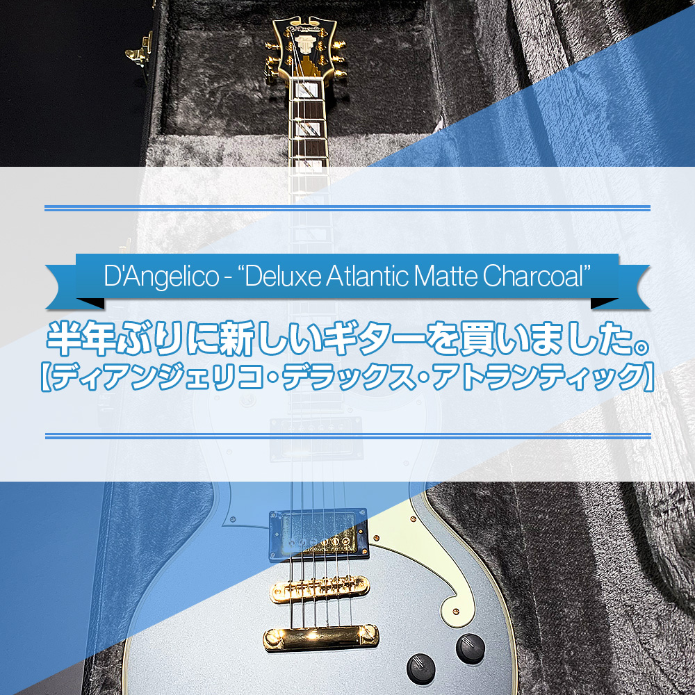 半年ぶりに新しいギターを買いました。【ディアンジェリコ・デラックス