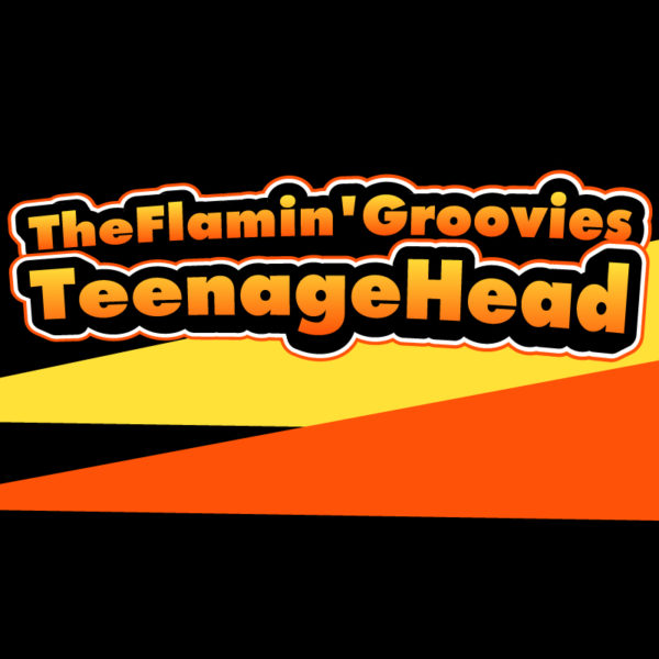 ブログ記事『フレイミン・グルーヴィーズの3rdアルバム『Teenage Head』を徹底解説！｜1971年の名作の全曲を解説します。』のタイトル画像